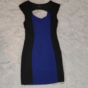 Express bodycon dress